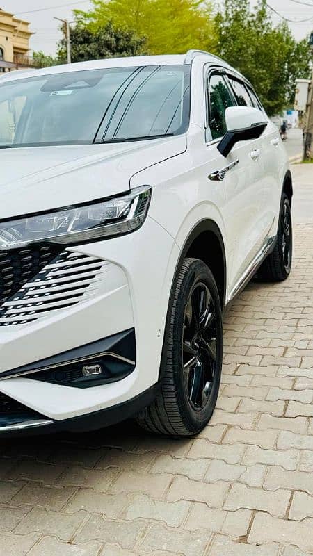 Haval H6 HEV  WHITE WITH RED 9