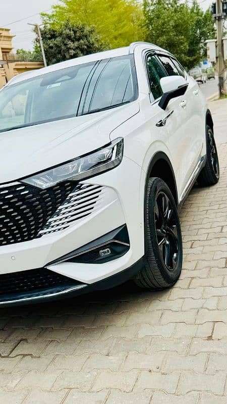 Haval H6 HEV  WHITE WITH RED 13