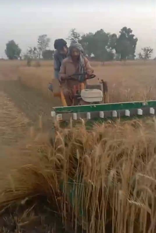 Three wheel Wheat Reaper Machine 2