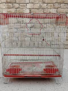 parrots cage