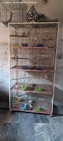 lovebird cage