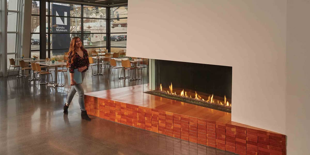 fireplace - electric fire place  - gas fireplace 9