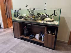 Aquarium