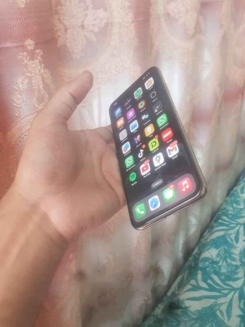Apple iPhone XS Max 1