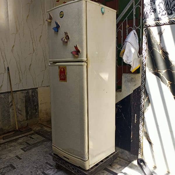 PEL Freezer 1