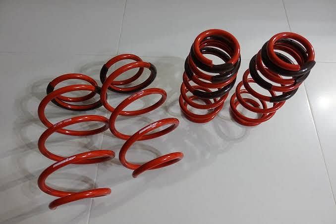 Lower Ring Swift 2024 2025 2