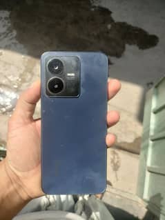 vivo