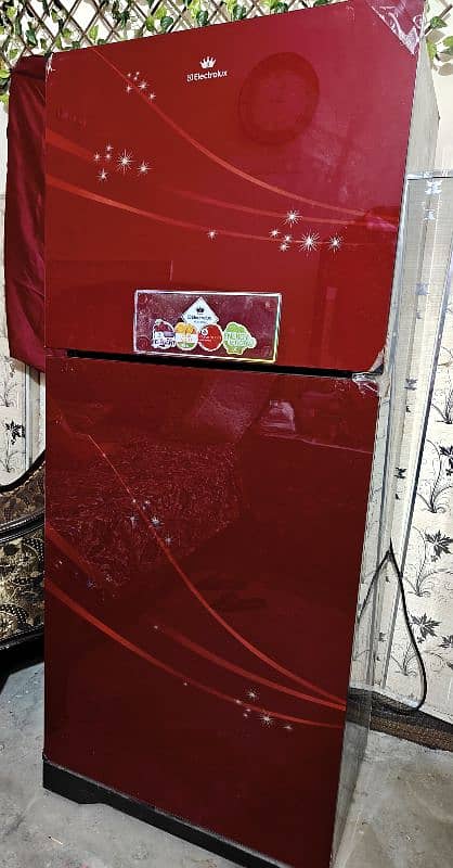 Electrolux fridge Glass Door 2