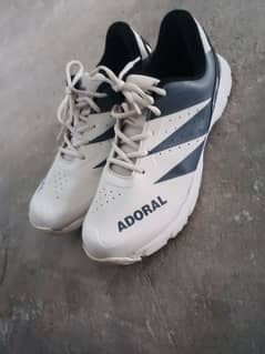 Adrel