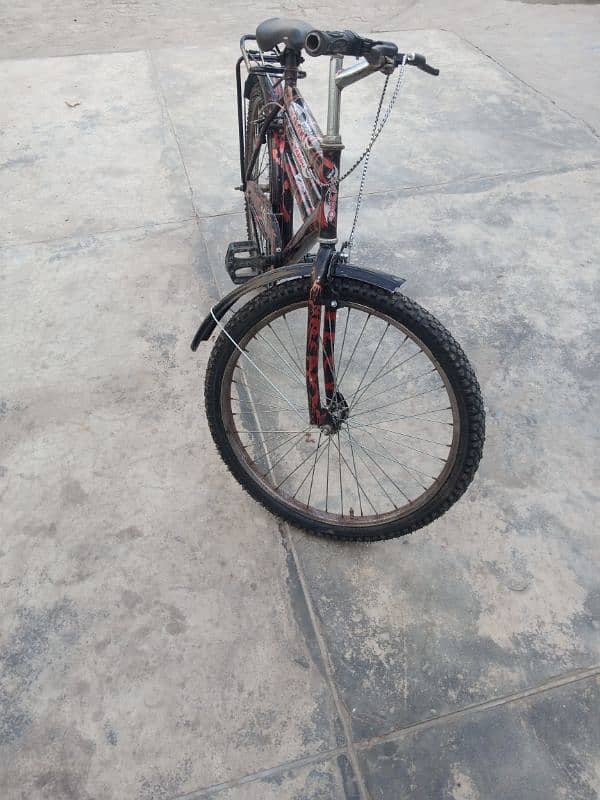 24cycle 2