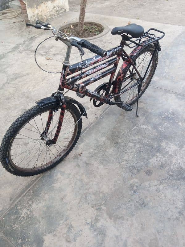 24cycle 3