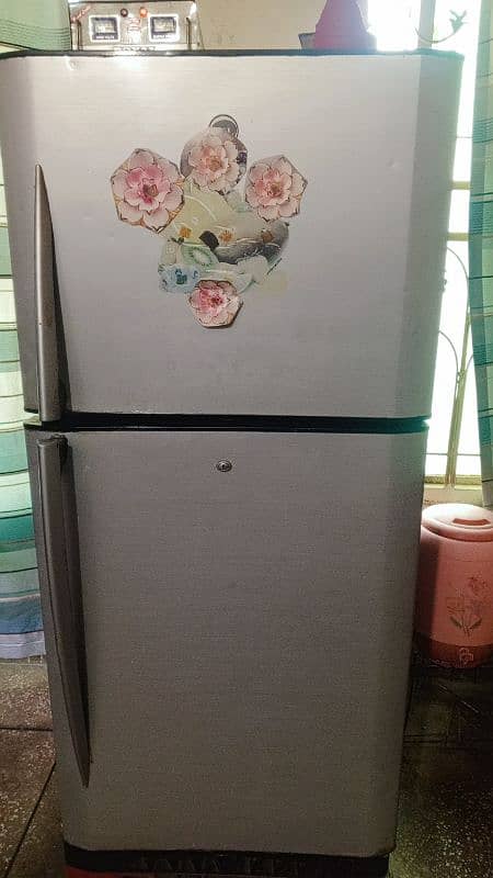 Pel Refrigerator Medium Size 1