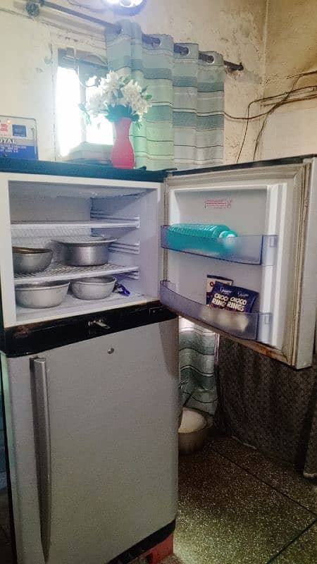 Pel Refrigerator Medium Size 2