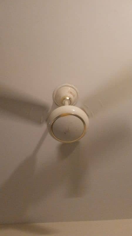 3 fans set breezy pak fan royal 0