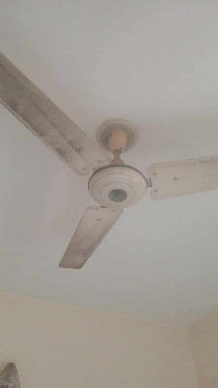 3 fans set breezy pak fan royal 2