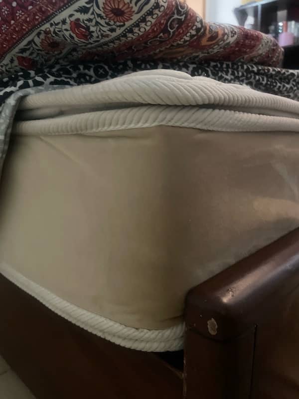 master celest plus - king size 9 inch 2