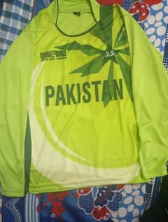 Pakistan champions trophy cricket shirt full arm