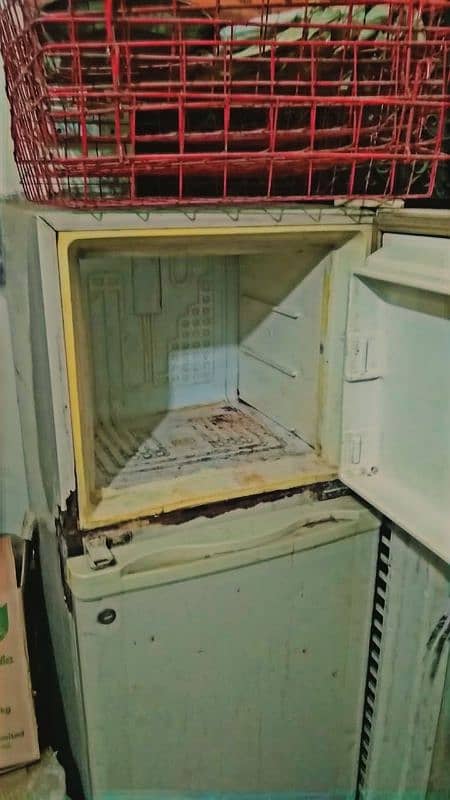 fridge 3