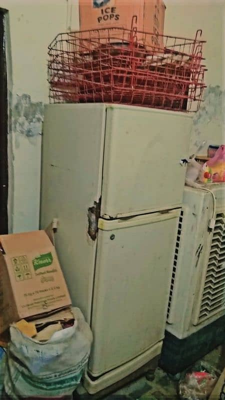 fridge 4