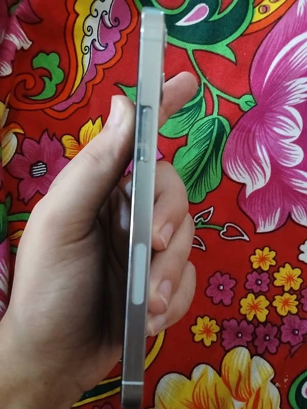 12 pro 3