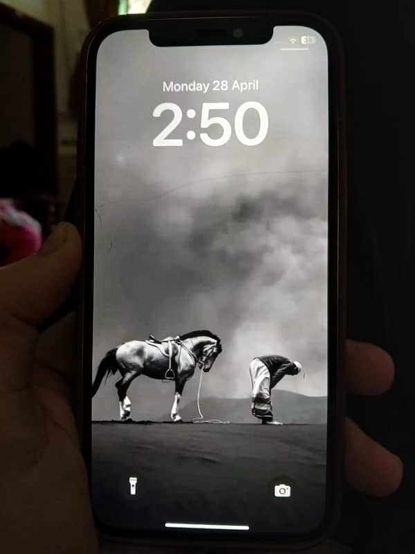 12 pro 6