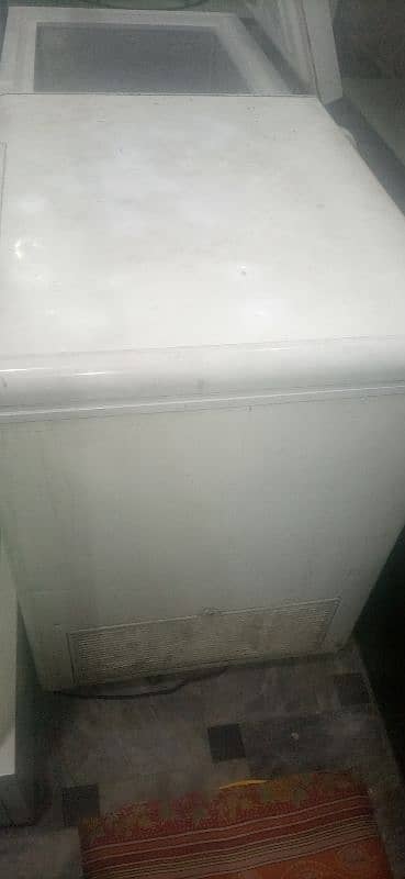freezer 1