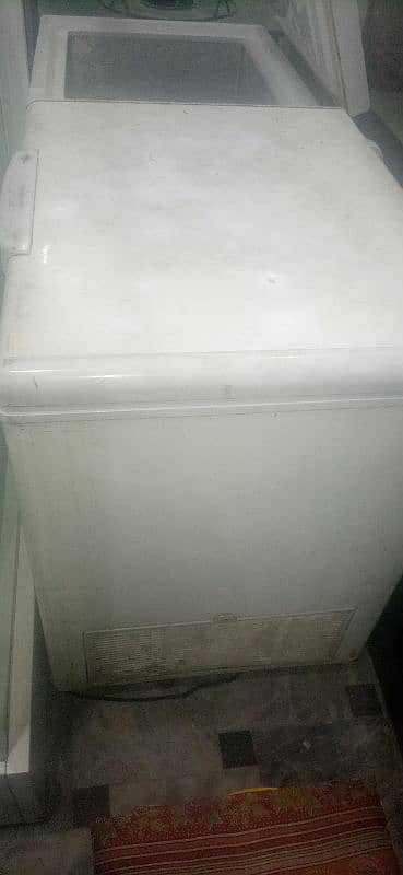 freezer 4