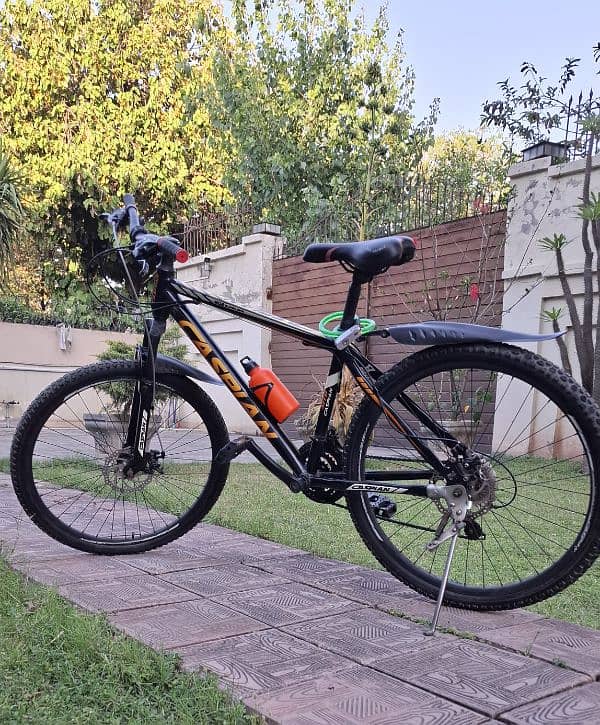 Bicycle by Caspian- Full Size 0
