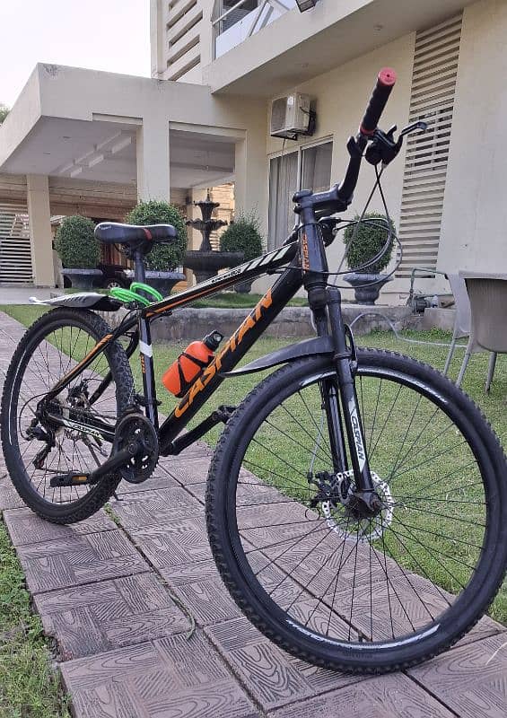 Bicycle by Caspian- Full Size 1