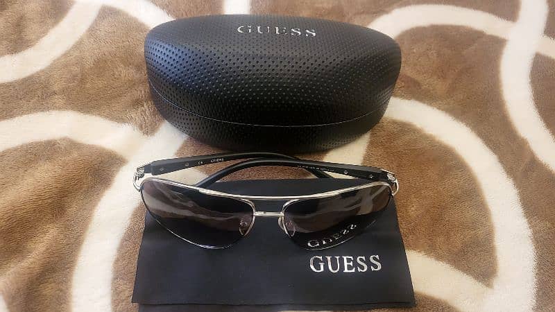 Guess Aviator and Revision Sawfly 0