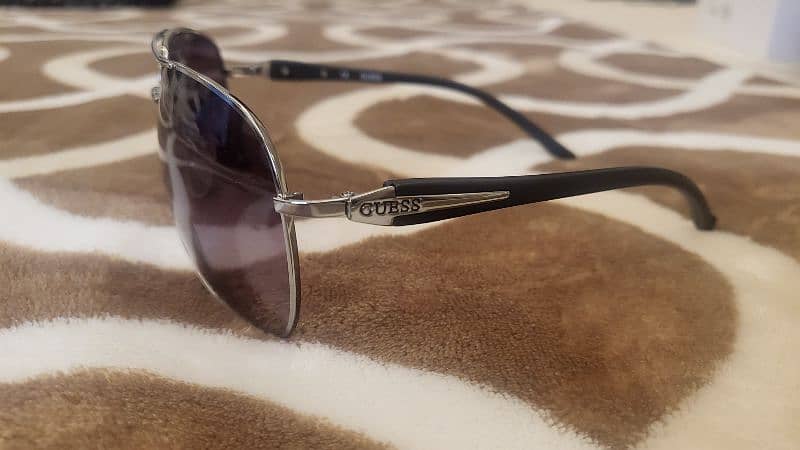 Guess Aviator and Revision Sawfly 2