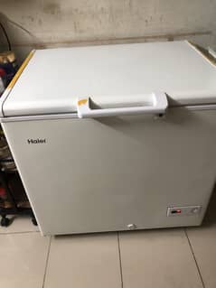 Haier