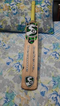 Sg english villow bat with 10 grains