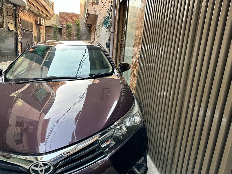 Toyota Corolla GLI 2014 /15 1.3 automatic 1