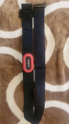 Garmin