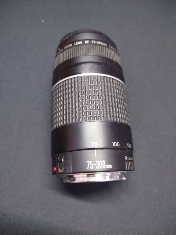 Canon 75-300mm Telephoto Zoom Lens for Sale – Excellent Condition 1