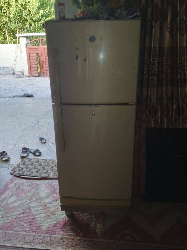 PEL COMPANY USED FRIDGE FOR SALE 4