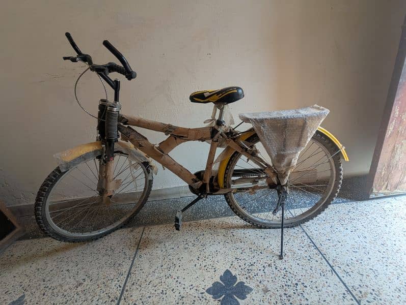 Sony large cycle 1