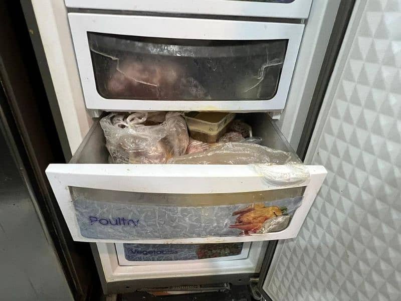 1 fridge and 1 freezer 5