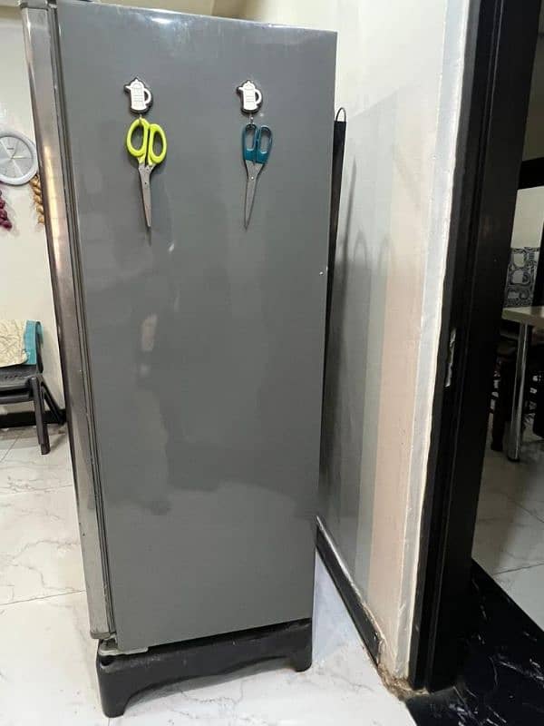 1 fridge and 1 freezer 6