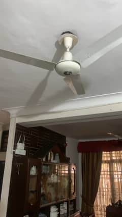 56" inch ceiling fan Royal