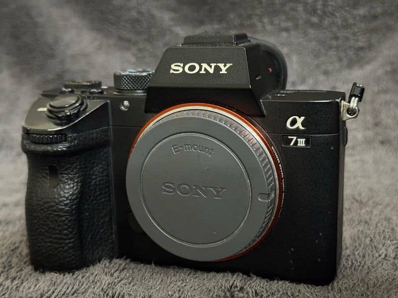 Sony Alpha 7 III 1