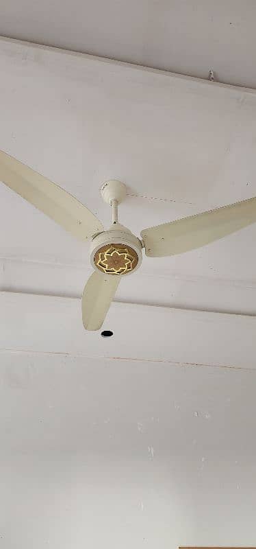 ceiling fan 1