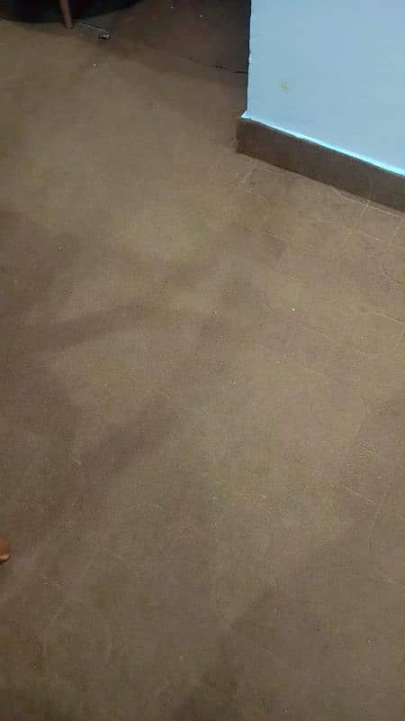 2 room carpet 0