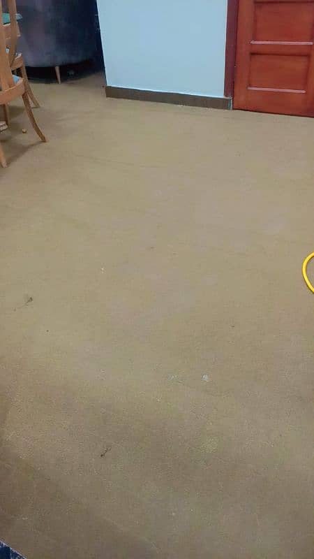 2 room carpet 1