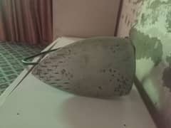 selling iron