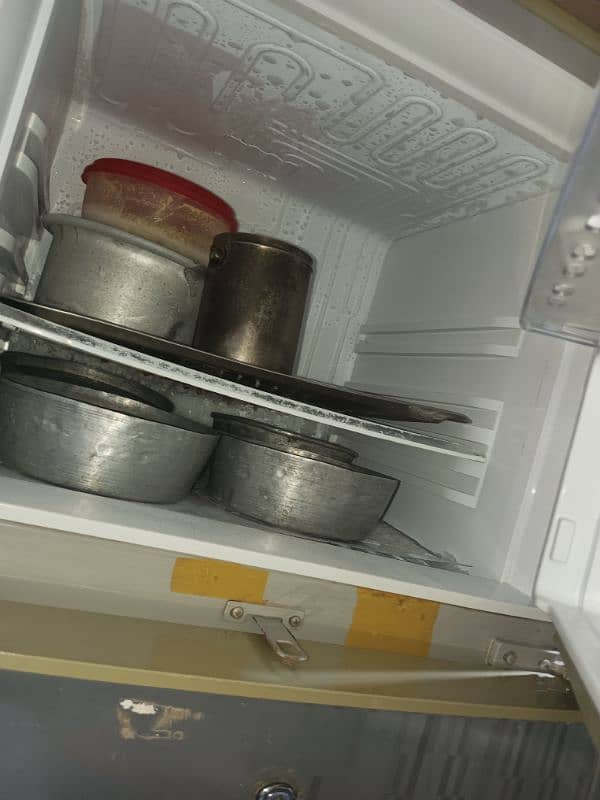 pel full size refrigerator in very good condition 2
