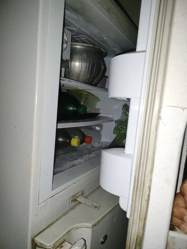 pel Refrigerator 2