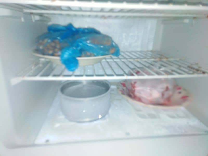 Haier refrigerator 1