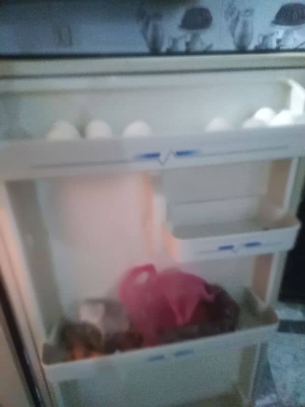 Haier refrigerator 3